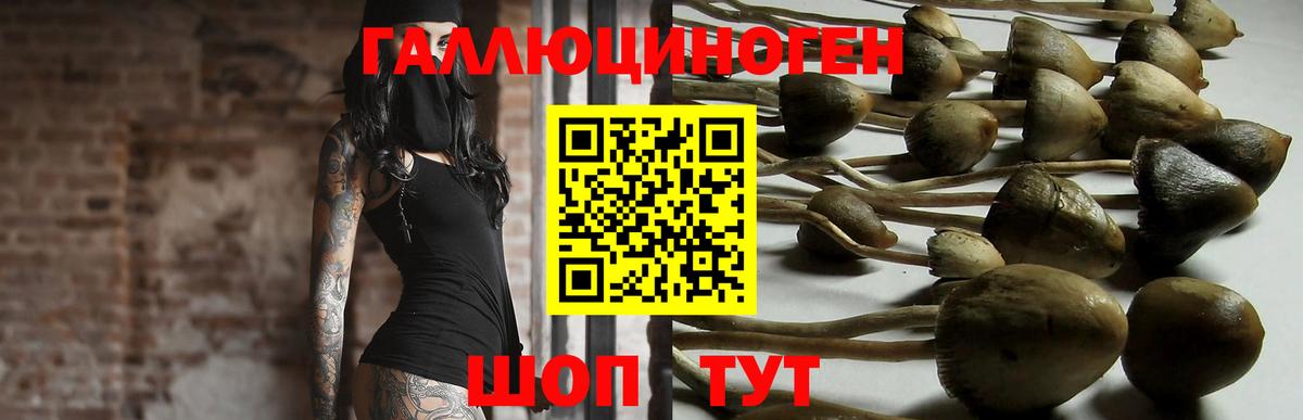 Псилоцибиновые грибы ЛСД  Вход с VPN  Менделеевск 